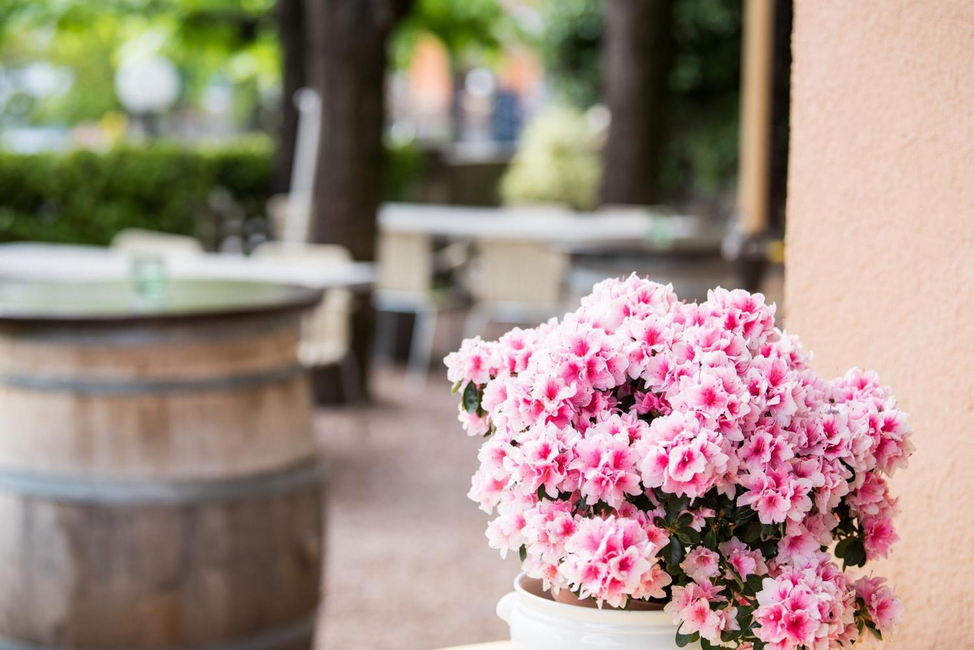 Albergo Hotel 테서리트 외부 사진